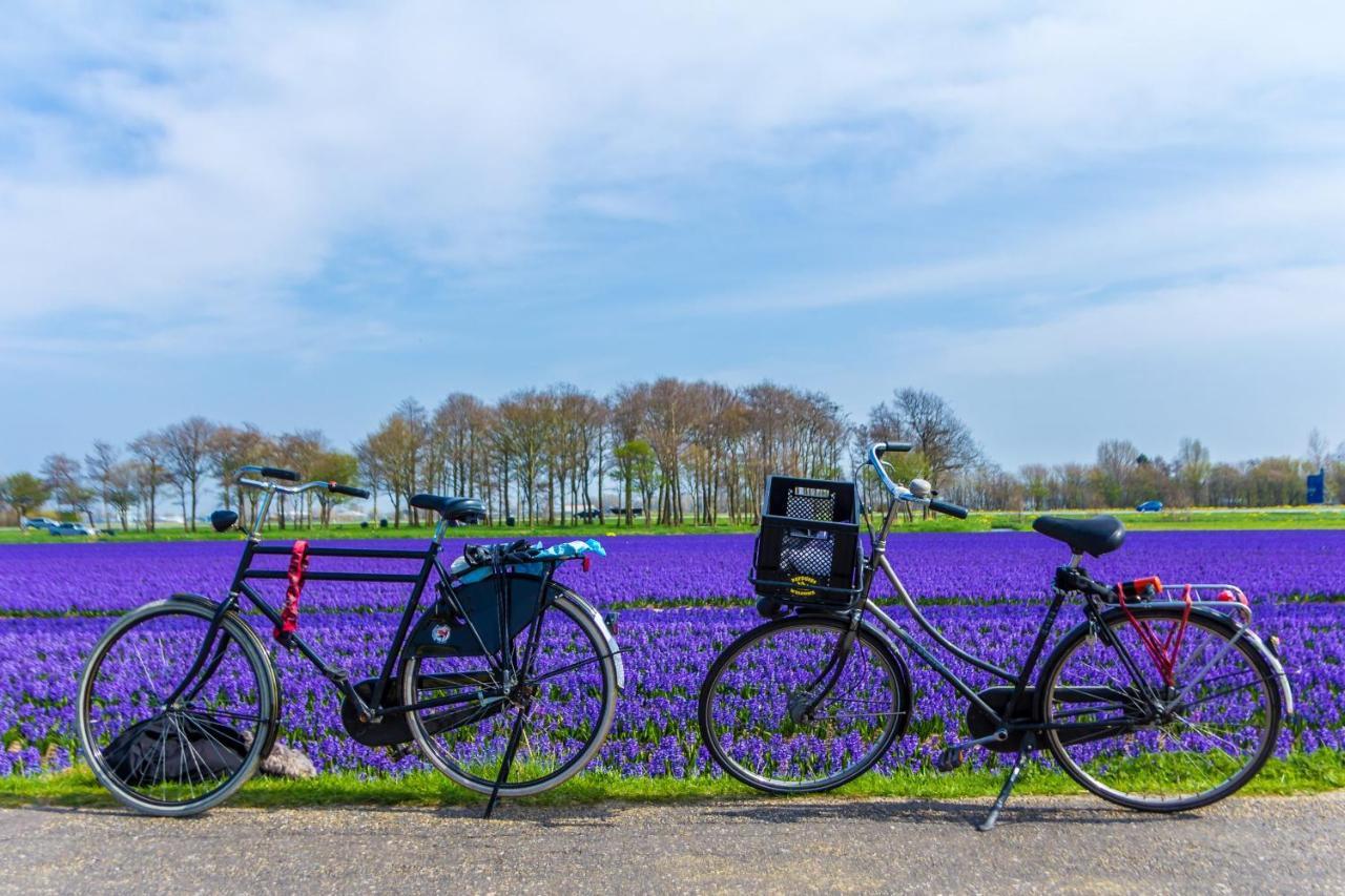 Slapen Bij De Buurvrouw Bed & Breakfast Castricum Ngoại thất bức ảnh
